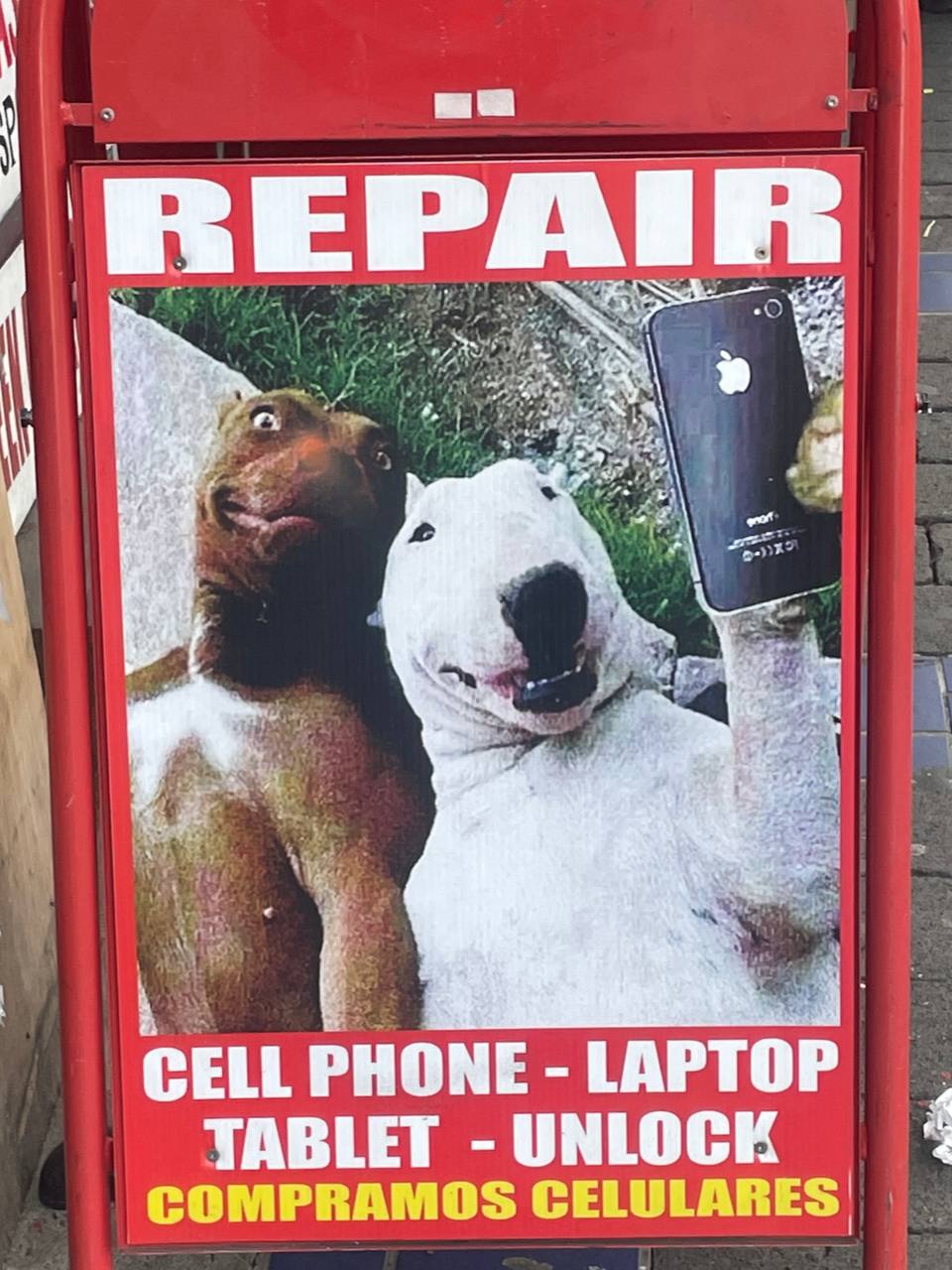 photo_2023-02-21 09.17.49.jpeg